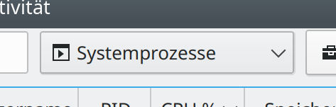 Combobox with icon displayed correctly